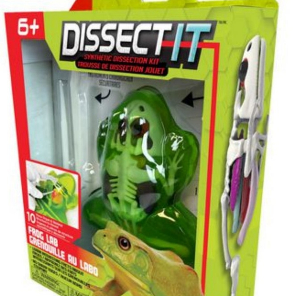 Frog Dissection Kit - Picture 3 of 5